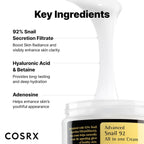 Cosrx Advanced Snail 92 All In One Cream (100ml)